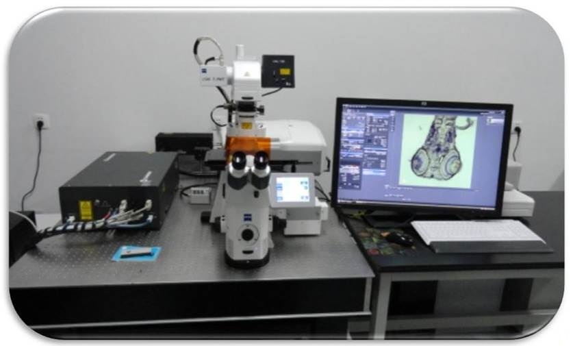 电子显微镜和光学显微_超分辨荧光显微成像_超分辨光学显微技术